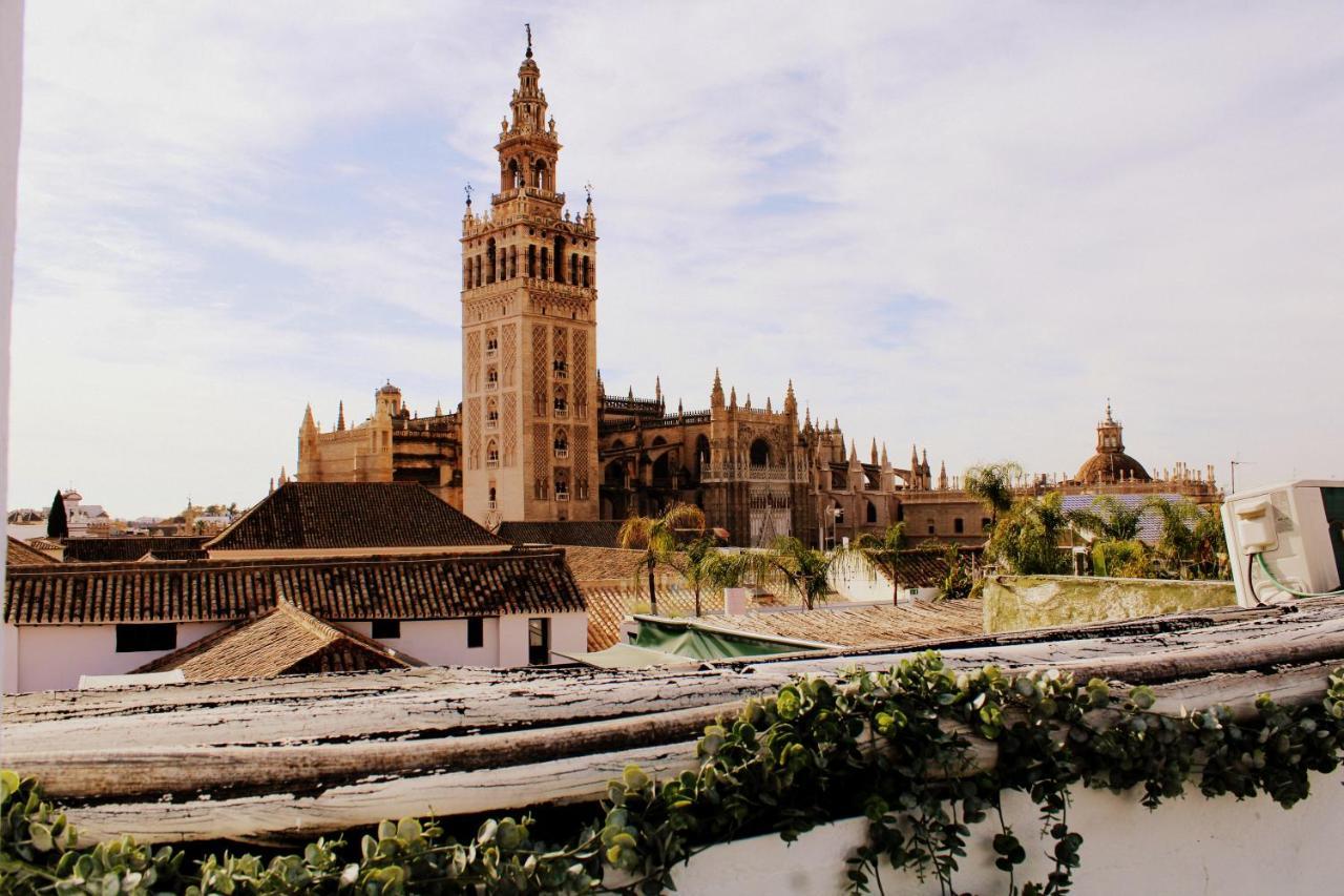 Terraza Catedral Olehousing * Sewilla